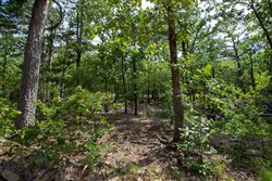 property photo for Eagles Nest Ranch Tract 41, 10.05 acres for sale in Pushmataha County, Oklahoma