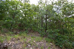 property photo for Eagles Nest Ranch Tract 41, 10.05 acres for sale in Pushmataha County, Oklahoma