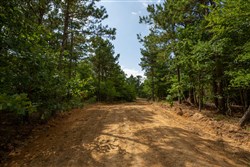 property photo for Eagles Nest Ranch Tract 42, 10.25 acres for sale in Pushmataha County, Oklahoma