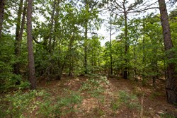 property photo for Eagles Nest Ranch Tract 42, 10.25 acres for sale in Pushmataha County, Oklahoma