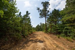 property photo for Eagles Nest Ranch Tract 42, 10.25 acres for sale in Pushmataha County, Oklahoma