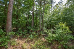 property photo for Eagles Nest Ranch Tract 42, 10.25 acres for sale in Pushmataha County, Oklahoma