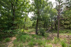 property photo for Eagles Nest Ranch Tract 42, 10.25 acres for sale in Pushmataha County, Oklahoma