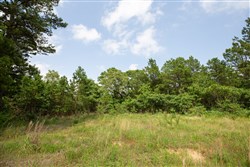 property photo for Eagles Nest Ranch Tract 43, 9.46 acres for sale in Pushmataha County, Oklahoma