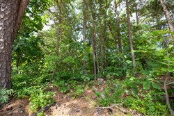 property photo for Eagles Nest Ranch Tract 43, 9.46 acres for sale in Pushmataha County, Oklahoma