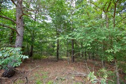 property photo for Eagles Nest Ranch Tract 43, 9.46 acres for sale in Pushmataha County, Oklahoma