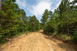 property photo for Eagles Nest Ranch Tract 43, 9.46 acres for sale in Pushmataha County, Oklahoma