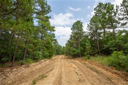 property photo for Eagles Nest Ranch Tract 44, 11.42 acres for sale in Pushmataha County, Oklahoma