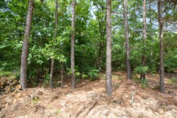 property photo for Eagles Nest Ranch Tract 44, 11.42 acres for sale in Pushmataha County, Oklahoma