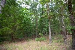property photo for Eagles Nest Ranch Tract 44, 11.42 acres for sale in Pushmataha County, Oklahoma