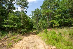 property photo for Eagles Nest Ranch Tract 44, 11.42 acres for sale in Pushmataha County, Oklahoma