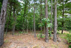 property photo for Eagles Nest Ranch Tract 44, 11.42 acres for sale in Pushmataha County, Oklahoma
