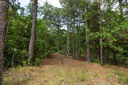 property photo for Eagles Nest Ranch Tract 44, 11.42 acres for sale in Pushmataha County, Oklahoma