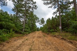 property photo for Eagles Nest Ranch Tract 45, 10.82 acres for sale in Pushmataha County, Oklahoma