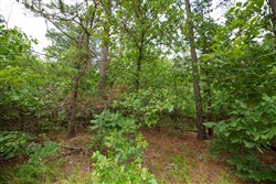 property photo for Eagles Nest Ranch Tract 45, 10.82 acres for sale in Pushmataha County, Oklahoma