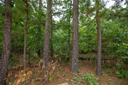property photo for Eagles Nest Ranch Tract 45, 10.82 acres for sale in Pushmataha County, Oklahoma