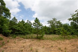 property photo for Eagles Nest Ranch Tract 45, 10.82 acres for sale in Pushmataha County, Oklahoma