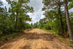 property photo for Eagles Nest Ranch Tract 45, 10.82 acres for sale in Pushmataha County, Oklahoma