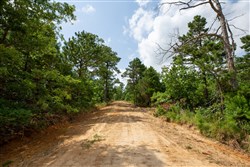 property photo for Eagles Nest Ranch Tract 46, 11.08 acres for sale in Pushmataha County, Oklahoma
