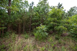 property photo for Eagles Nest Ranch Tract 46, 11.08 acres for sale in Pushmataha County, Oklahoma