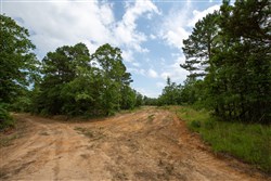 property photo for Eagles Nest Ranch Tract 46, 11.08 acres for sale in Pushmataha County, Oklahoma