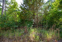 property photo for Eagles Nest Ranch Tract 47, 11.21 acres for sale in Pushmataha County, Oklahoma
