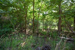 property photo for Eagles Nest Ranch Tract 47, 11.21 acres for sale in Pushmataha County, Oklahoma