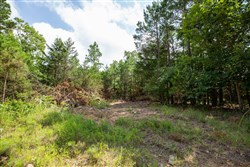 property photo for Eagles Nest Ranch Tract 47, 11.21 acres for sale in Pushmataha County, Oklahoma