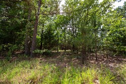 property photo for Eagles Nest Ranch Tract 47, 11.21 acres for sale in Pushmataha County, Oklahoma