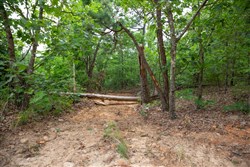 property photo for Eagles Nest Ranch Tract 48, 5.86 acres for sale in Pushmataha County, Oklahoma