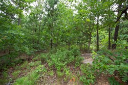 property photo for Eagles Nest Ranch Tract 48, 5.86 acres for sale in Pushmataha County, Oklahoma