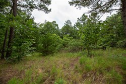 property photo for Eagles Nest Ranch Tract 48, 5.86 acres for sale in Pushmataha County, Oklahoma