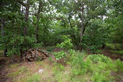 property photo for Eagles Nest Ranch Tract 48, 5.86 acres for sale in Pushmataha County, Oklahoma