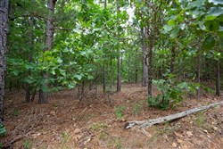 property photo for Eagles Nest Ranch Tract 48, 5.86 acres for sale in Pushmataha County, Oklahoma