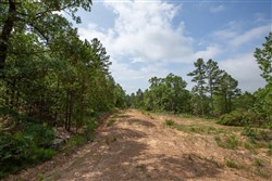 property photo for Eagles Nest Ranch Tract 49, 12.19 acres for sale in Pushmataha County, Oklahoma