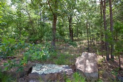 property photo for Eagles Nest Ranch Tract 49, 12.19 acres for sale in Pushmataha County, Oklahoma