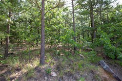 property photo for Eagles Nest Ranch Tract 49, 12.19 acres for sale in Pushmataha County, Oklahoma
