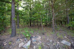 property photo for Eagles Nest Ranch Tract 49, 12.19 acres for sale in Pushmataha County, Oklahoma