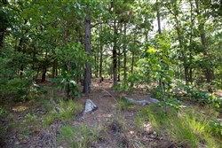 property photo for Eagles Nest Ranch Tract 49, 12.19 acres for sale in Pushmataha County, Oklahoma