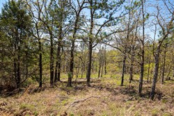 property photo for Eagles Nest Ranch Tract 5, 5.51 acres for sale in Pushmataha County, Oklahoma