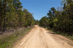 property photo for Eagles Nest Ranch Tract 5, 5.51 acres for sale in Pushmataha County, Oklahoma