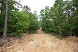 property photo for Eagles Nest Ranch Tract 50, 7.99 acres for sale in Pushmataha County, Oklahoma