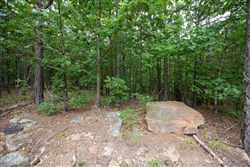 property photo for Eagles Nest Ranch Tract 50, 7.99 acres for sale in Pushmataha County, Oklahoma