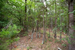 property photo for Eagles Nest Ranch Tract 50, 7.99 acres for sale in Pushmataha County, Oklahoma