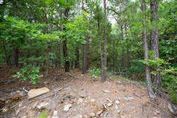 property photo for Eagles Nest Ranch Tract 50, 7.99 acres for sale in Pushmataha County, Oklahoma