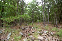 property photo for Eagles Nest Ranch Tract 50, 7.99 acres for sale in Pushmataha County, Oklahoma