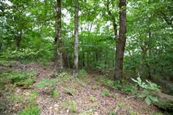 property photo for Eagles Nest Ranch Tract 51, 6.92 acres for sale in Pushmataha County, Oklahoma