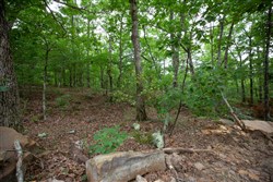 property photo for Eagles Nest Ranch Tract 51, 6.92 acres for sale in Pushmataha County, Oklahoma