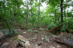 property photo for Eagles Nest Ranch Tract 51, 6.92 acres for sale in Pushmataha County, Oklahoma