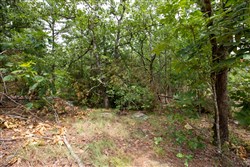 property photo for Eagles Nest Ranch Tract 52, 6.8 acres for sale in Pushmataha County, Oklahoma